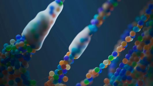 biotech